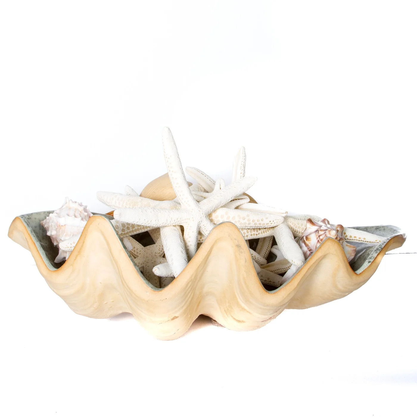 Large Clam Shell Bowl
