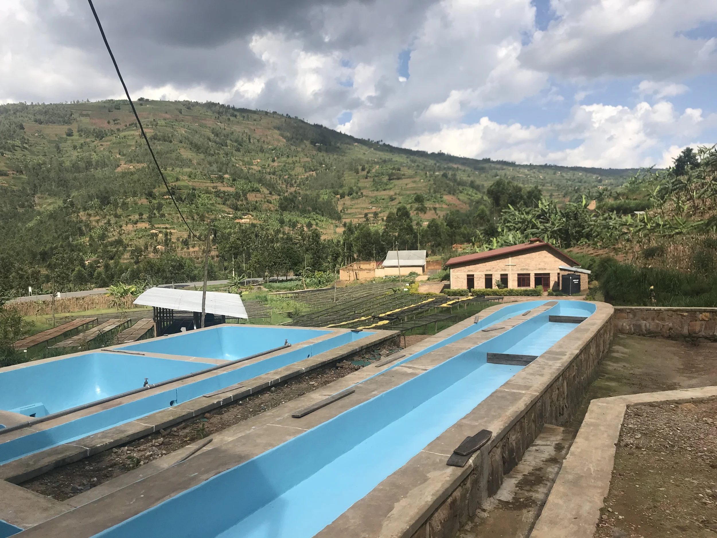 Kinini Washing Channels, Tanks, Drying Beds and Office.jpg