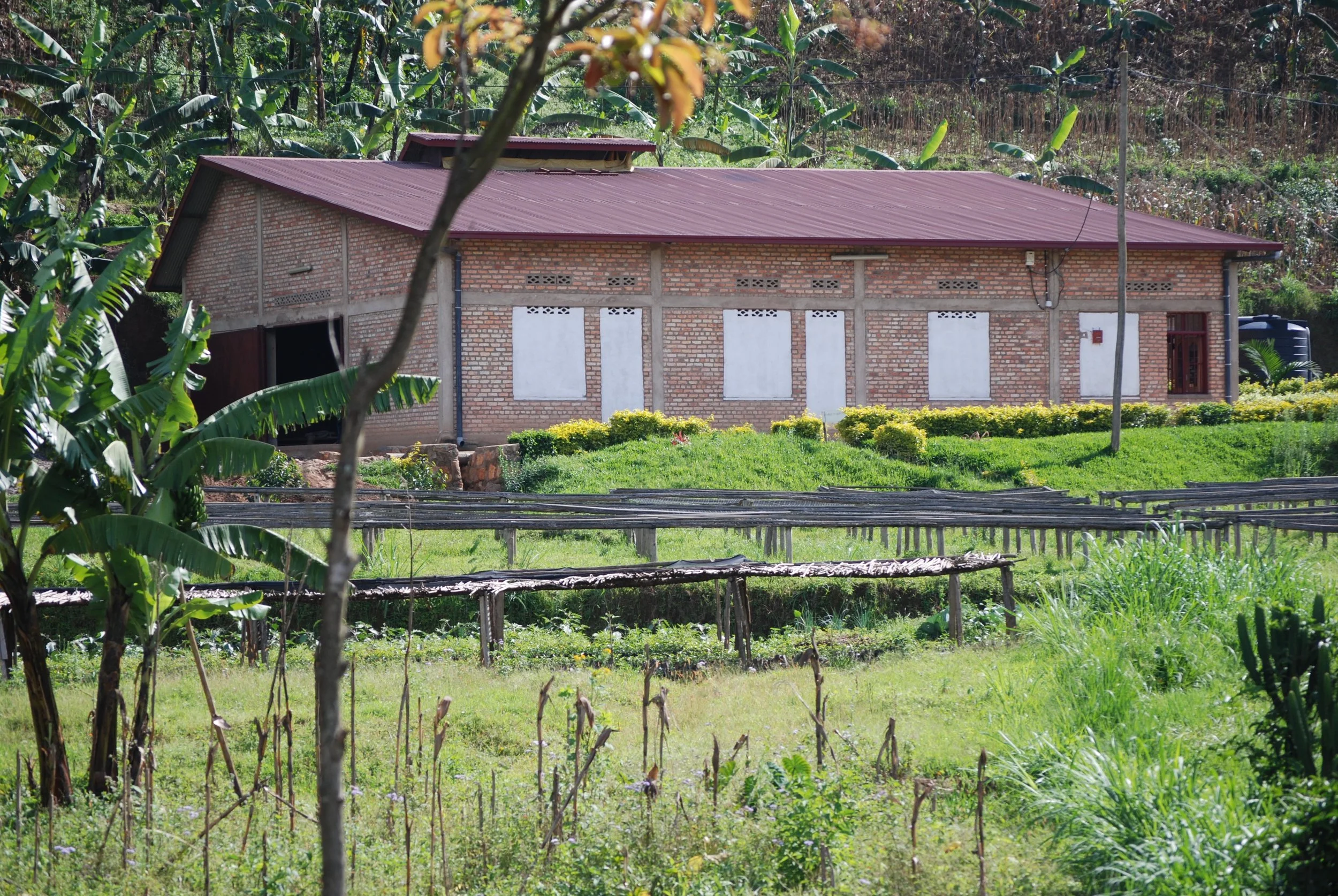 Kinini Parchment Storage at WS.jpg