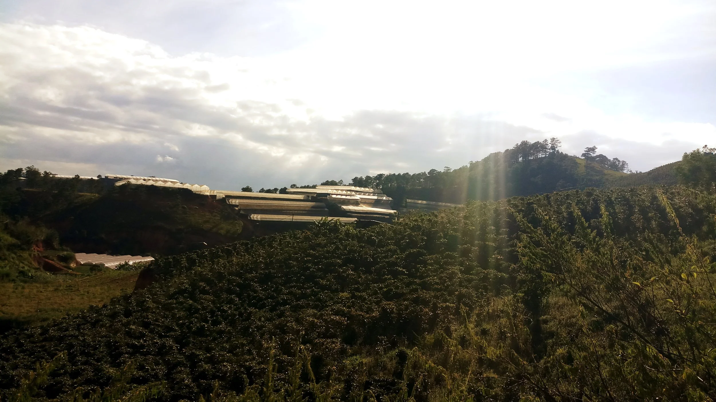 farms-16.jpg