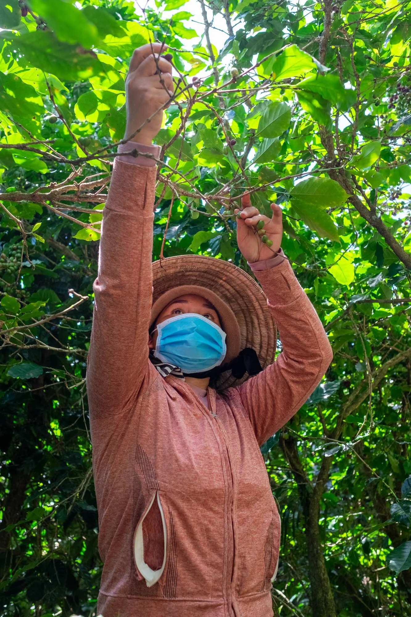 harvesting-03.jpg