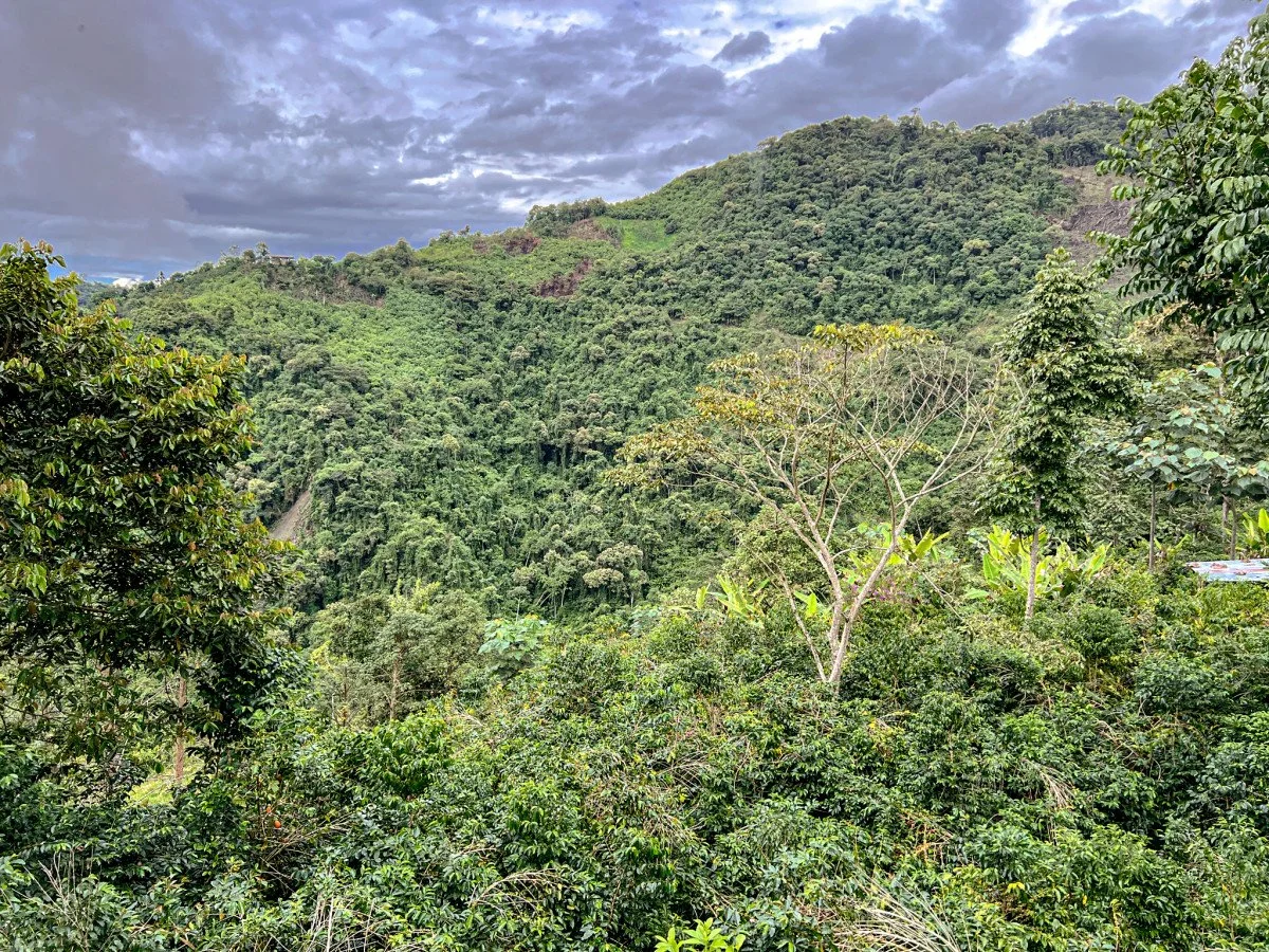 Los Eucaliptos, Ecuador