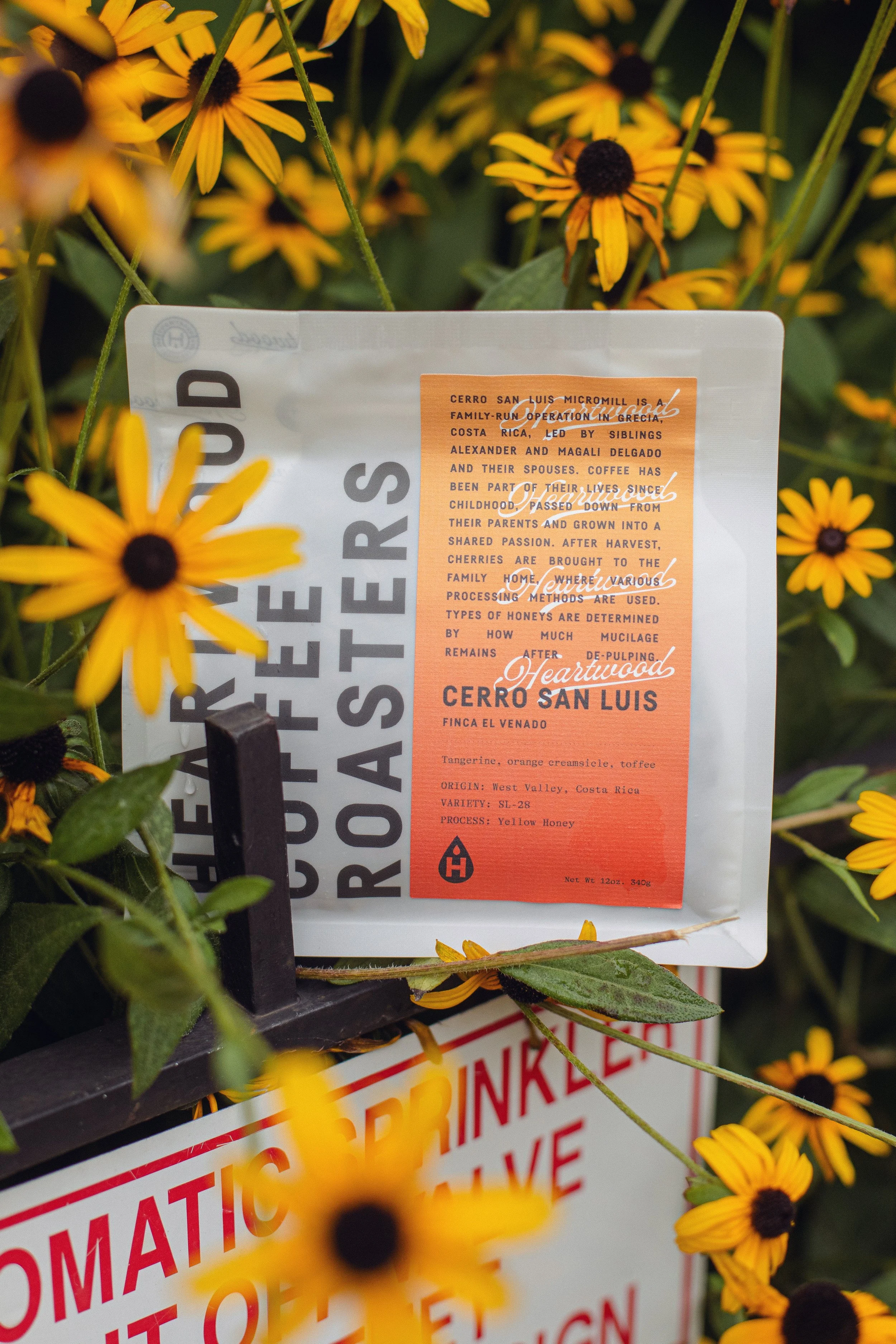 Cerro San Luis, Costa Rica