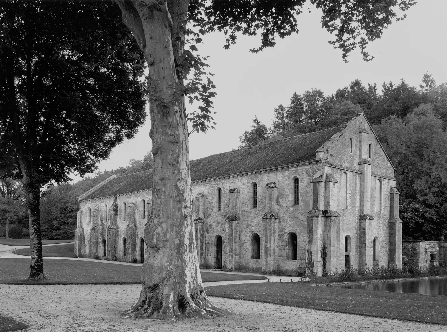 The Forge, Fontenay