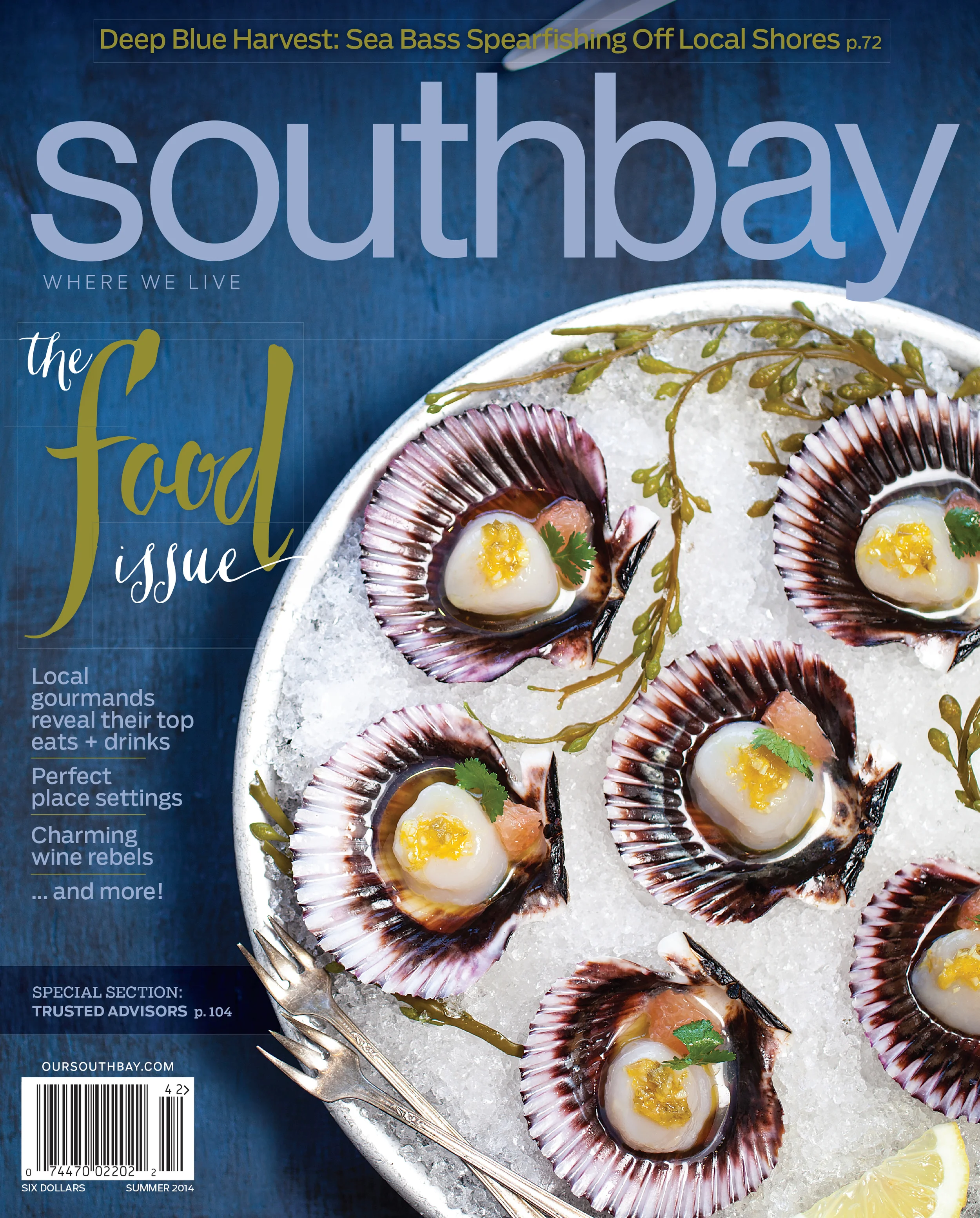 SOUTHBAY SUMMER COVER 2014