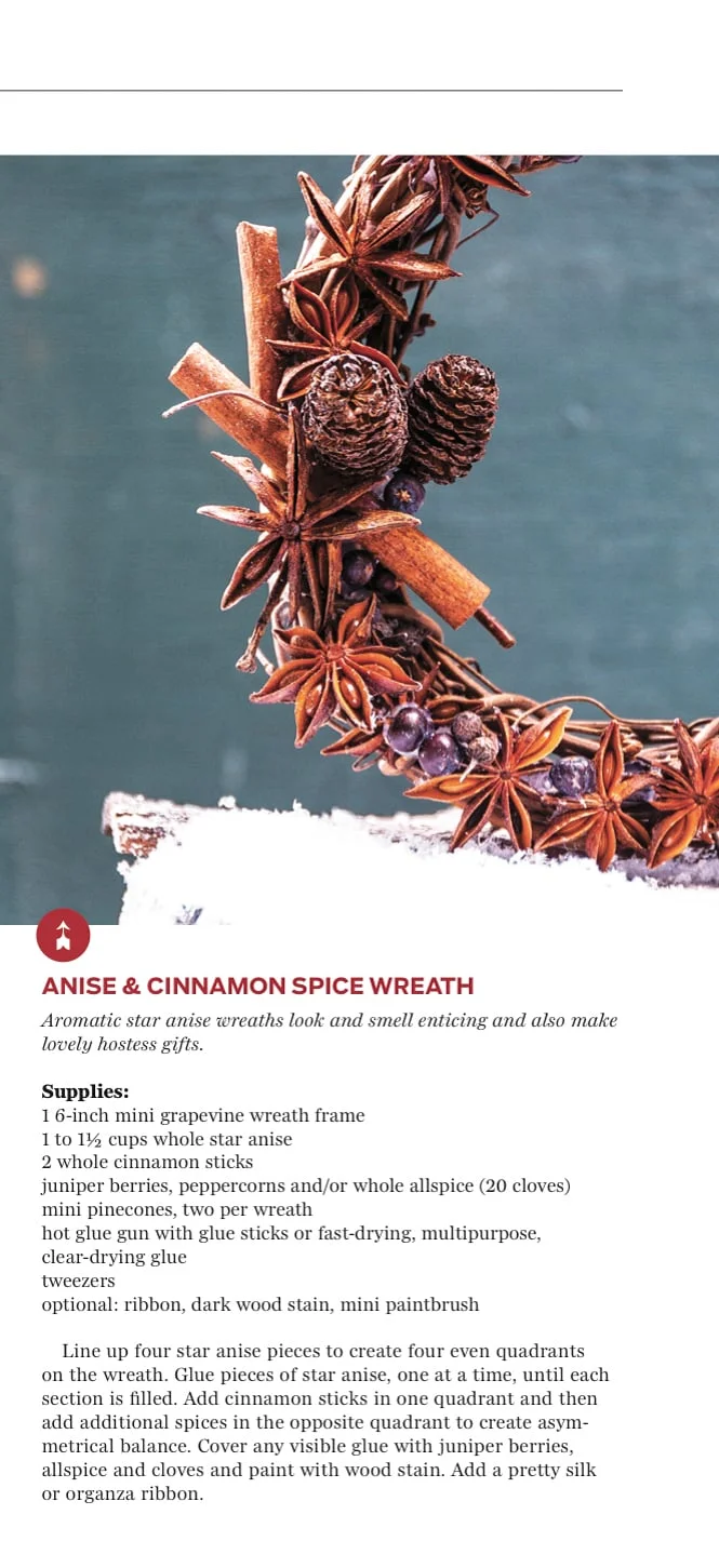 WINTER SPICE FEATURE 2015