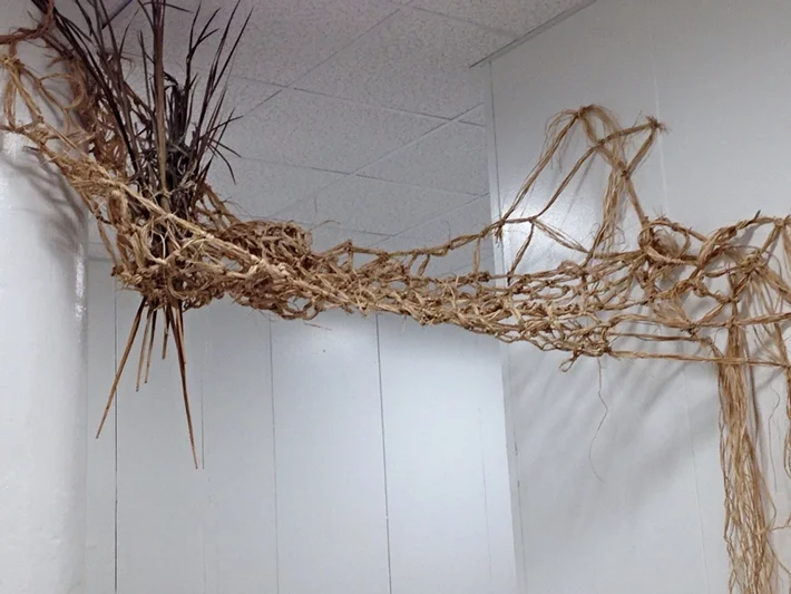 Memory Foam. raffia and plant material. 8x3'