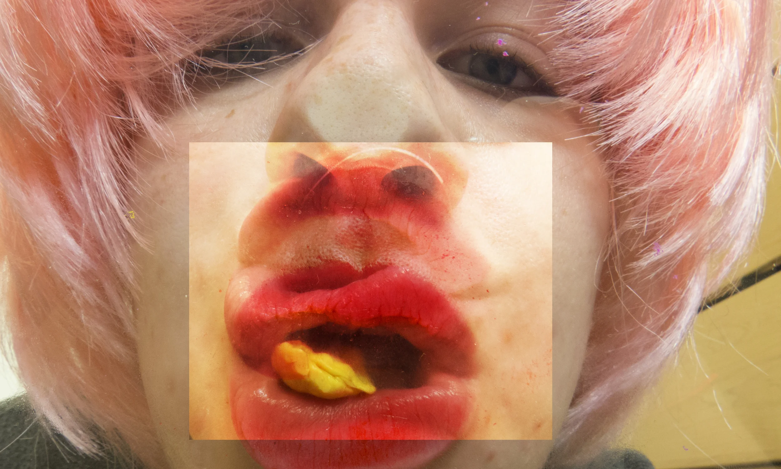 Selfie. photograph overlay. 12x5"