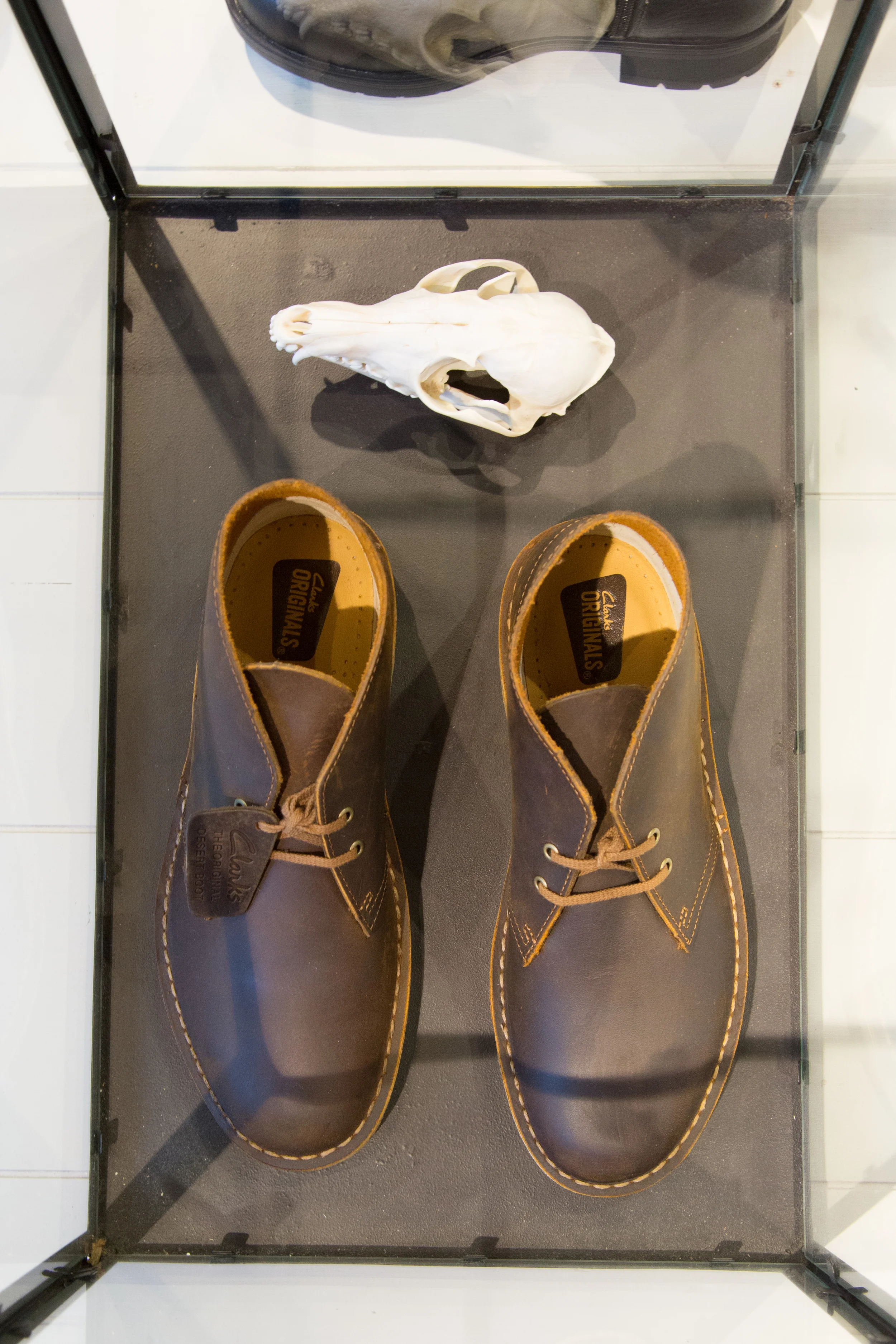 clarks shoes chesterfield