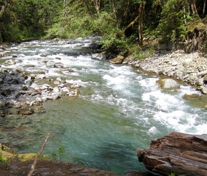 Skokomish River, Staircase, Olympic National Park, Washington State