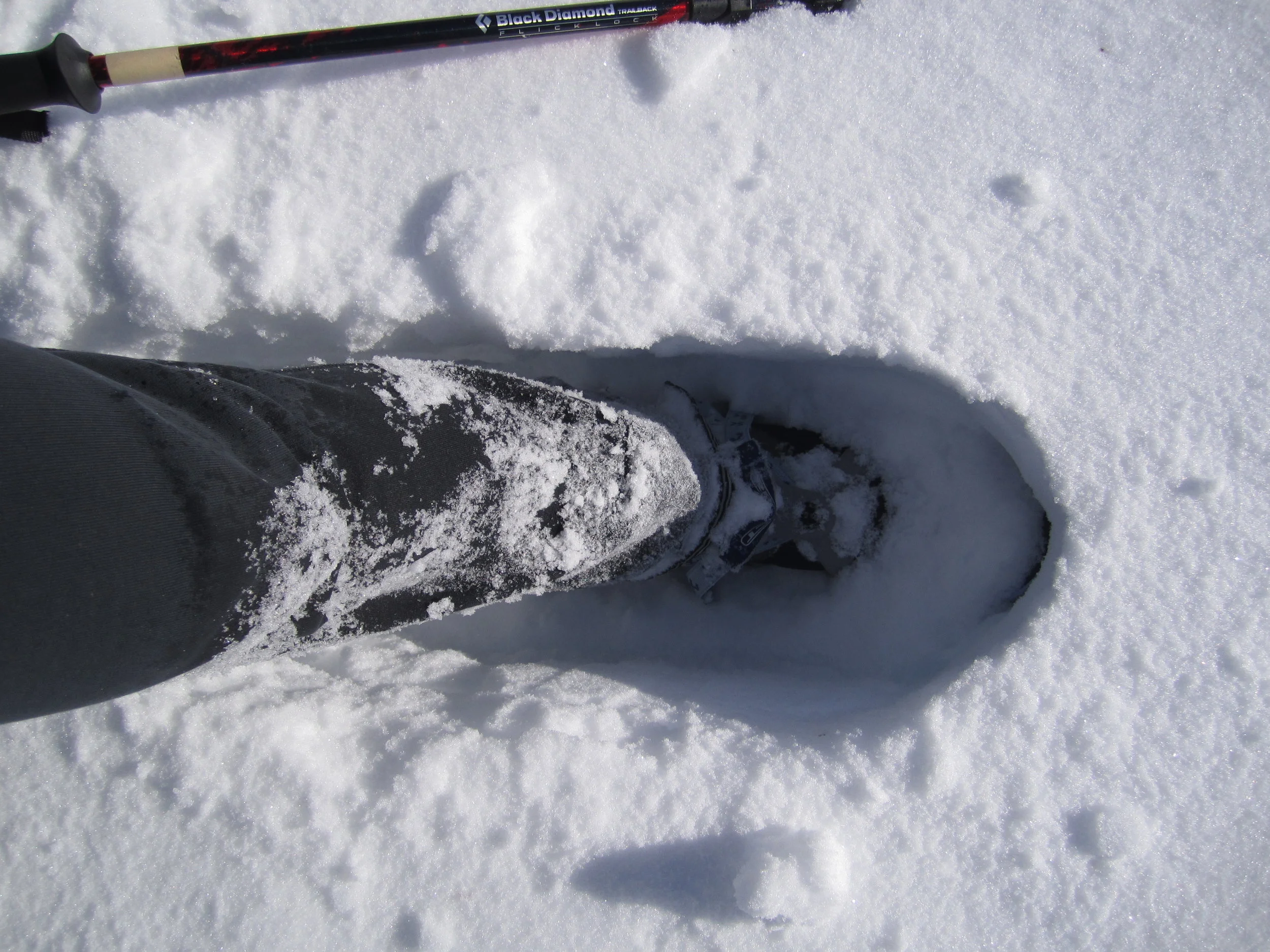 Snow to my knees