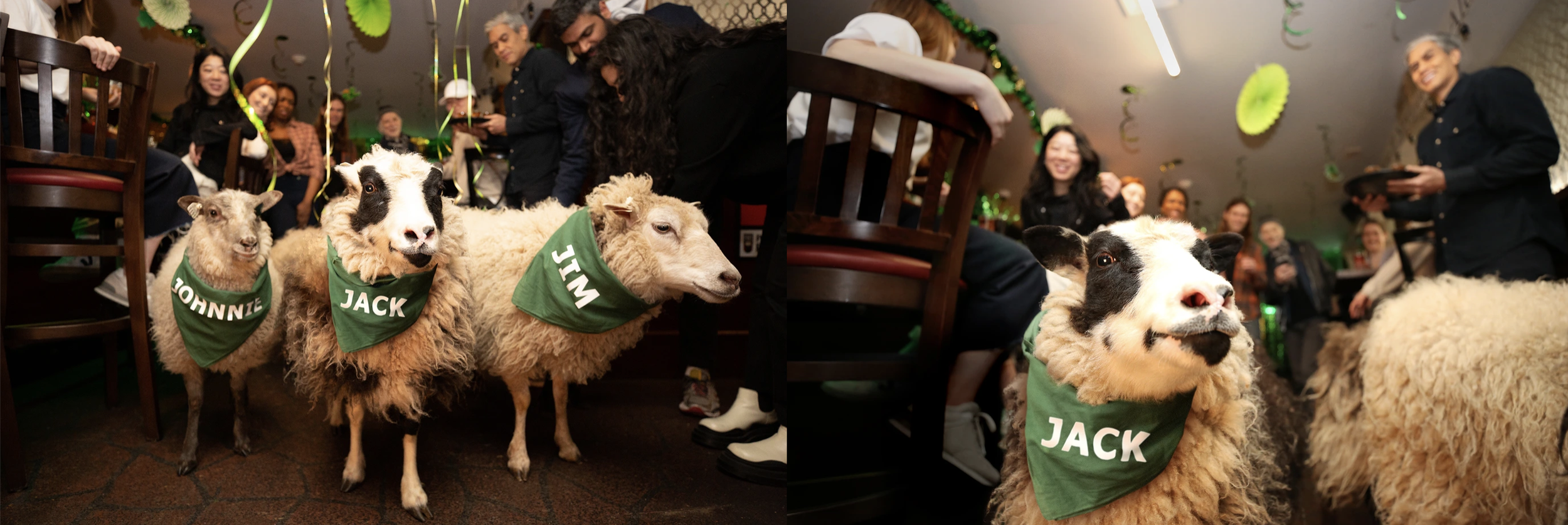 Screen Shot 2024-02-23 at 11.20.46 PM.png