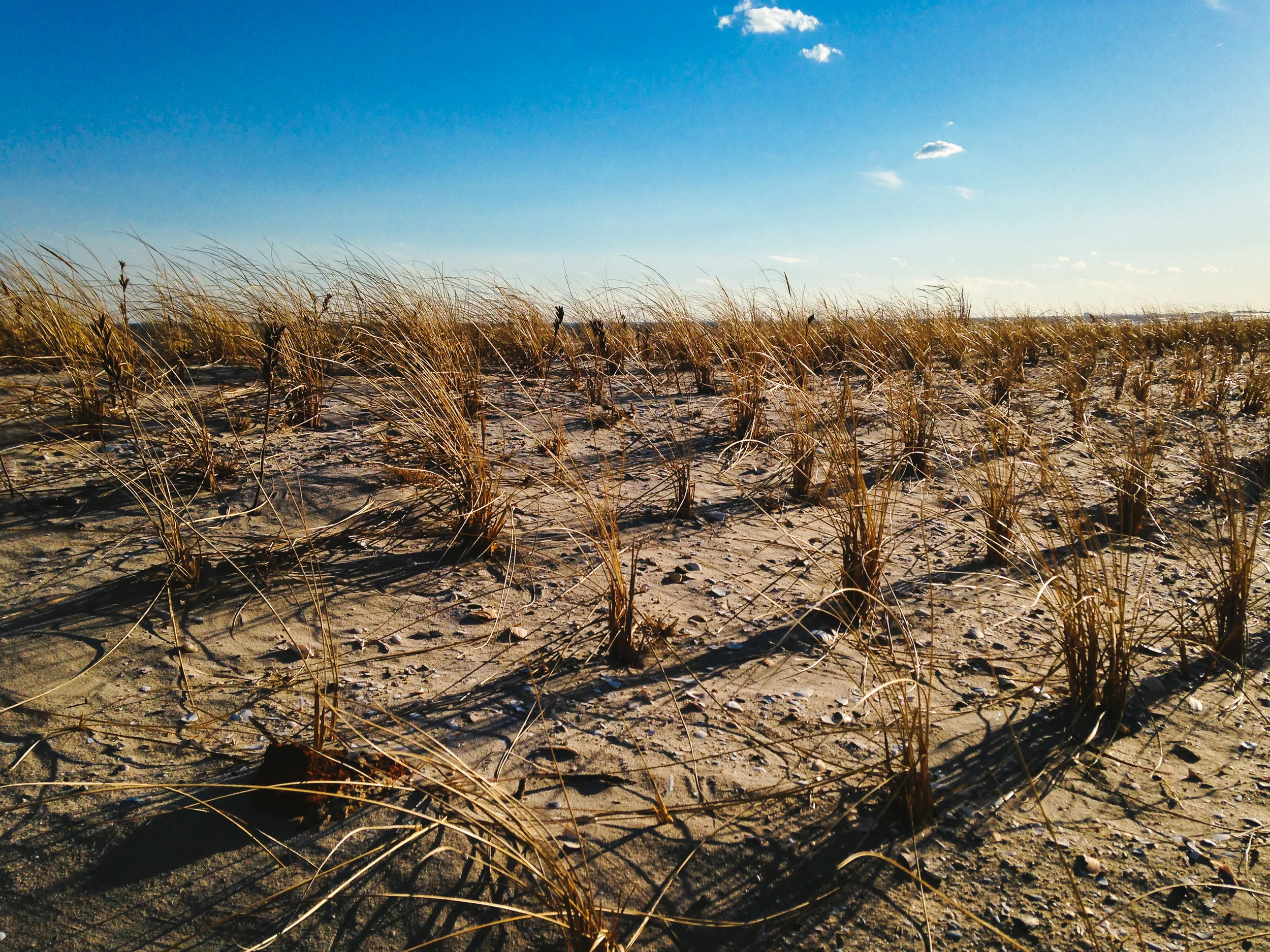 AtlanticCityBeachDune_Winter 2014 - SLIDE-1.jpg