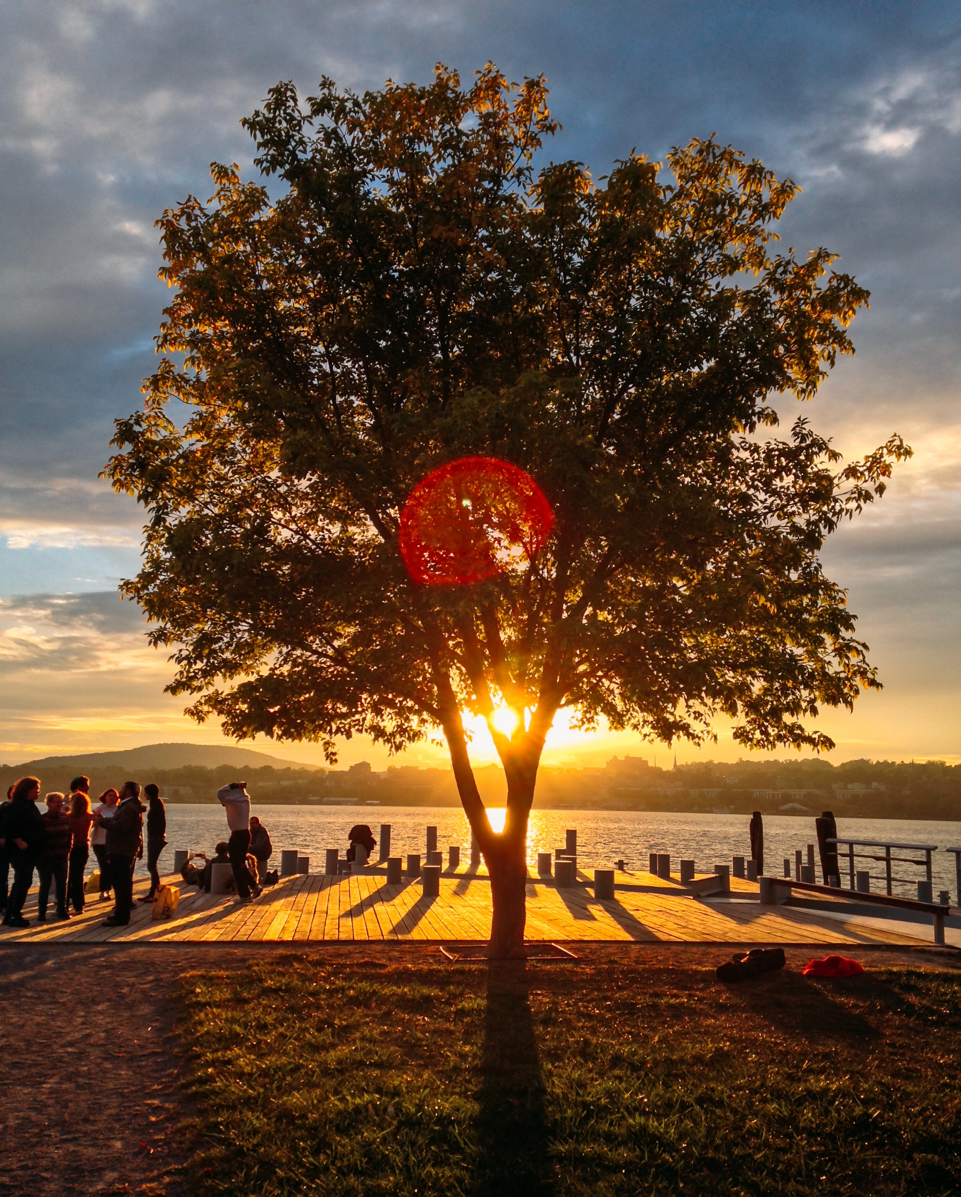 BeaconLongDockParkTreeSunset_Summer 2014-1.jpg