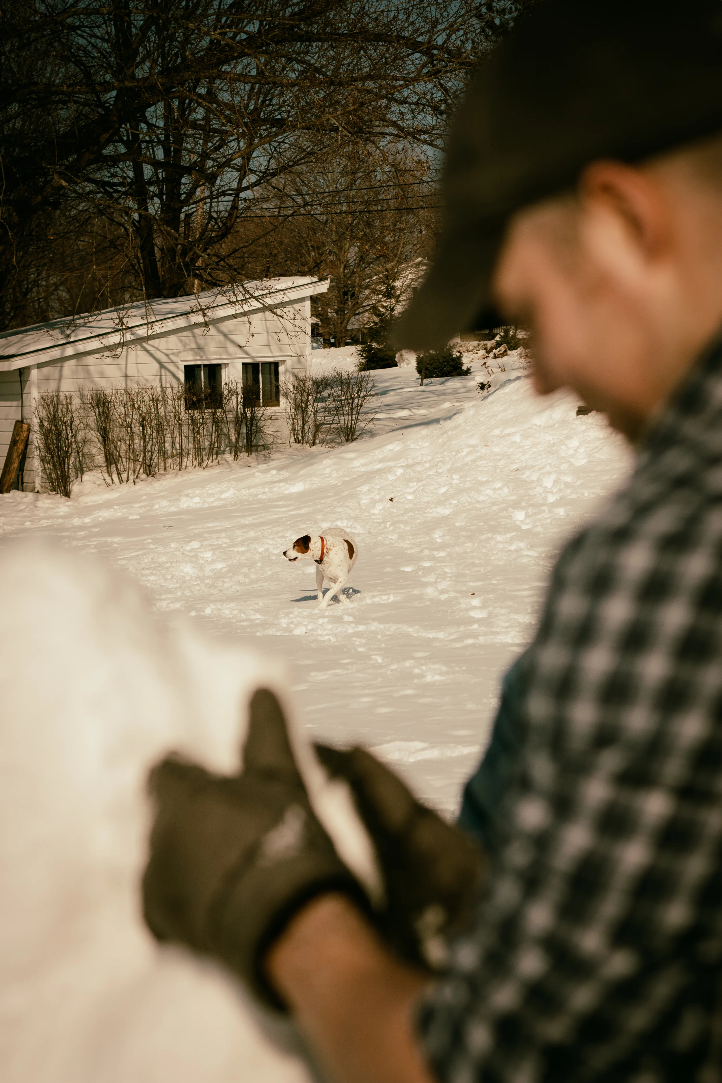 websterinsnow-1.jpg
