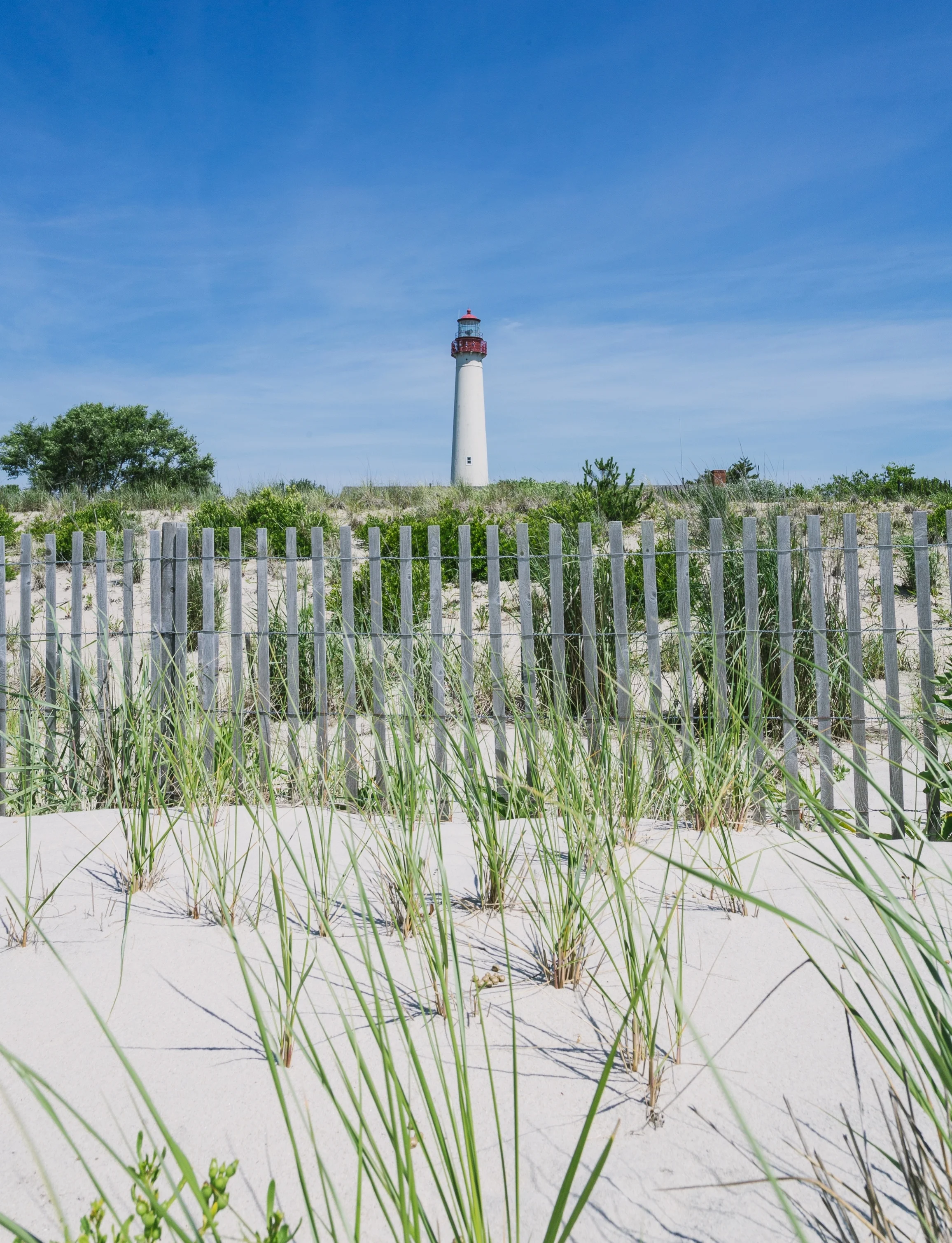 capemay3lighthouseportrait_FADE.jpg