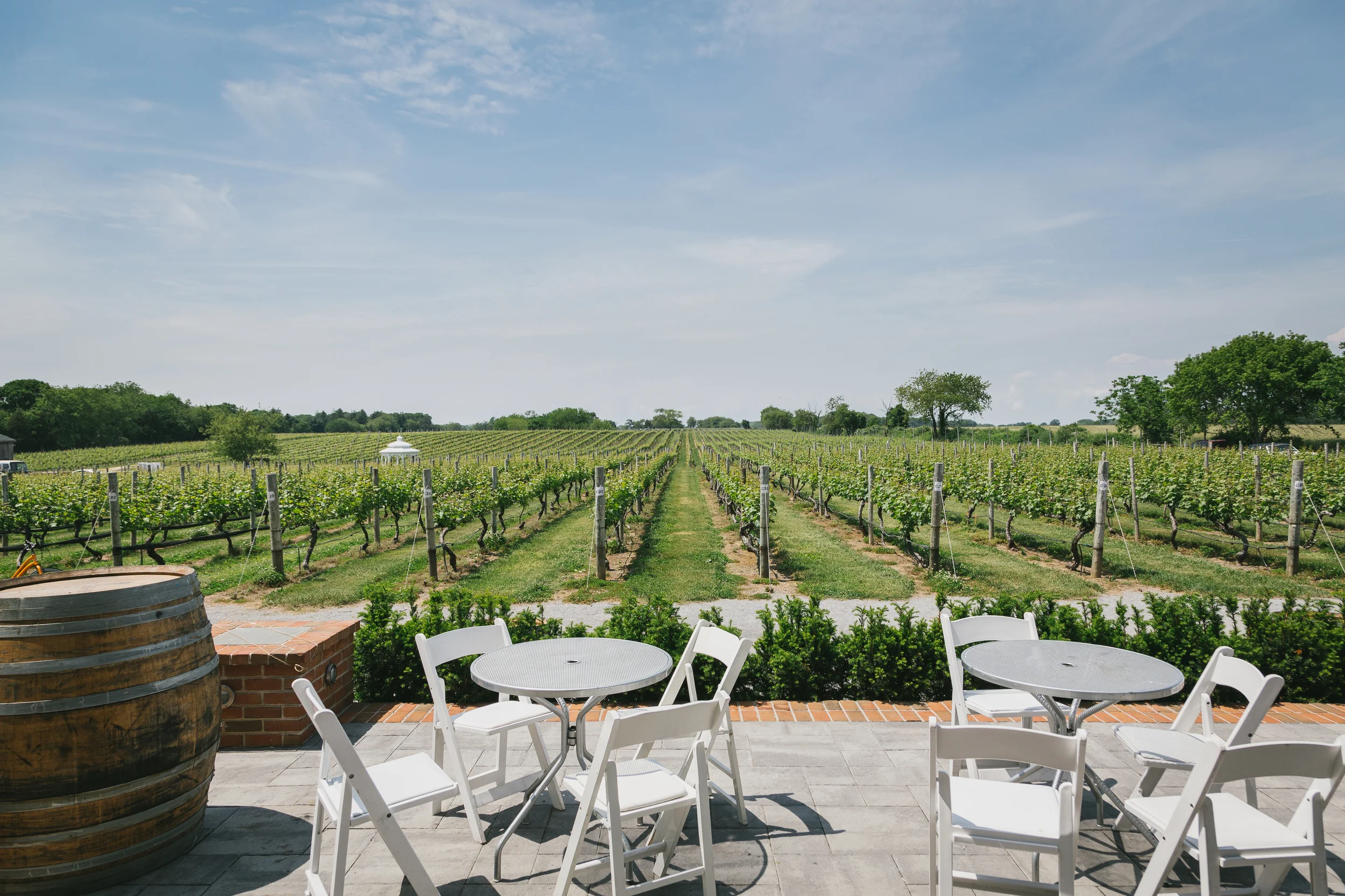 pellegrinivineyards.jpg