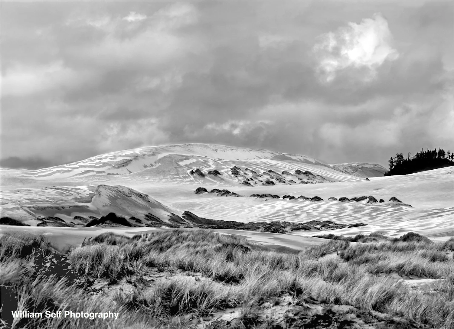 Patterns in the Dunes Oregon Coast.jpg