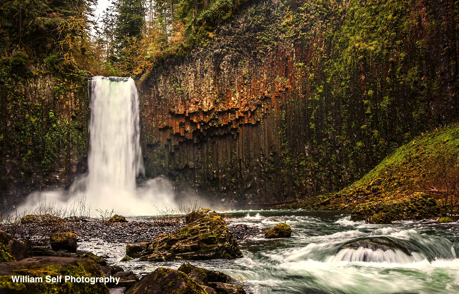 Abiqua Falls After the Rains Oregon Cascades .jpg
