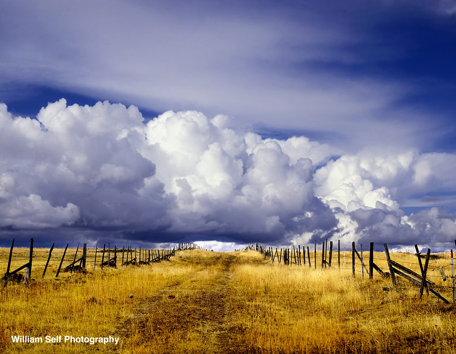 Road to Infinity Northeastern Oregon.jpg