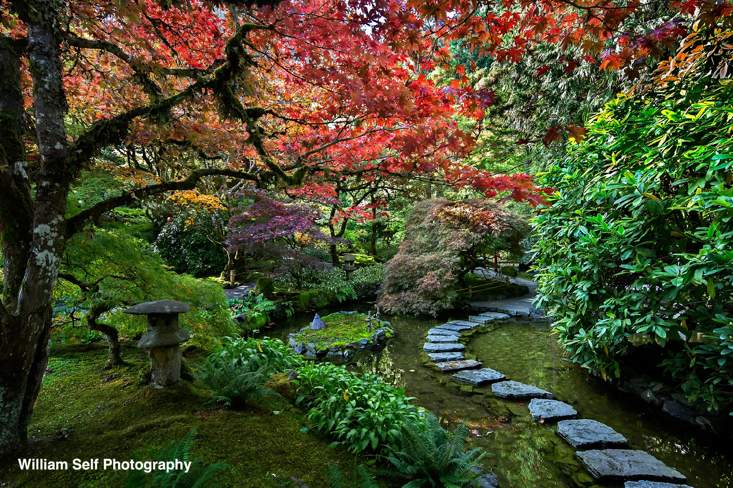 Steps to Nirvana Buchart Gardens Victoria, BC.jpg
