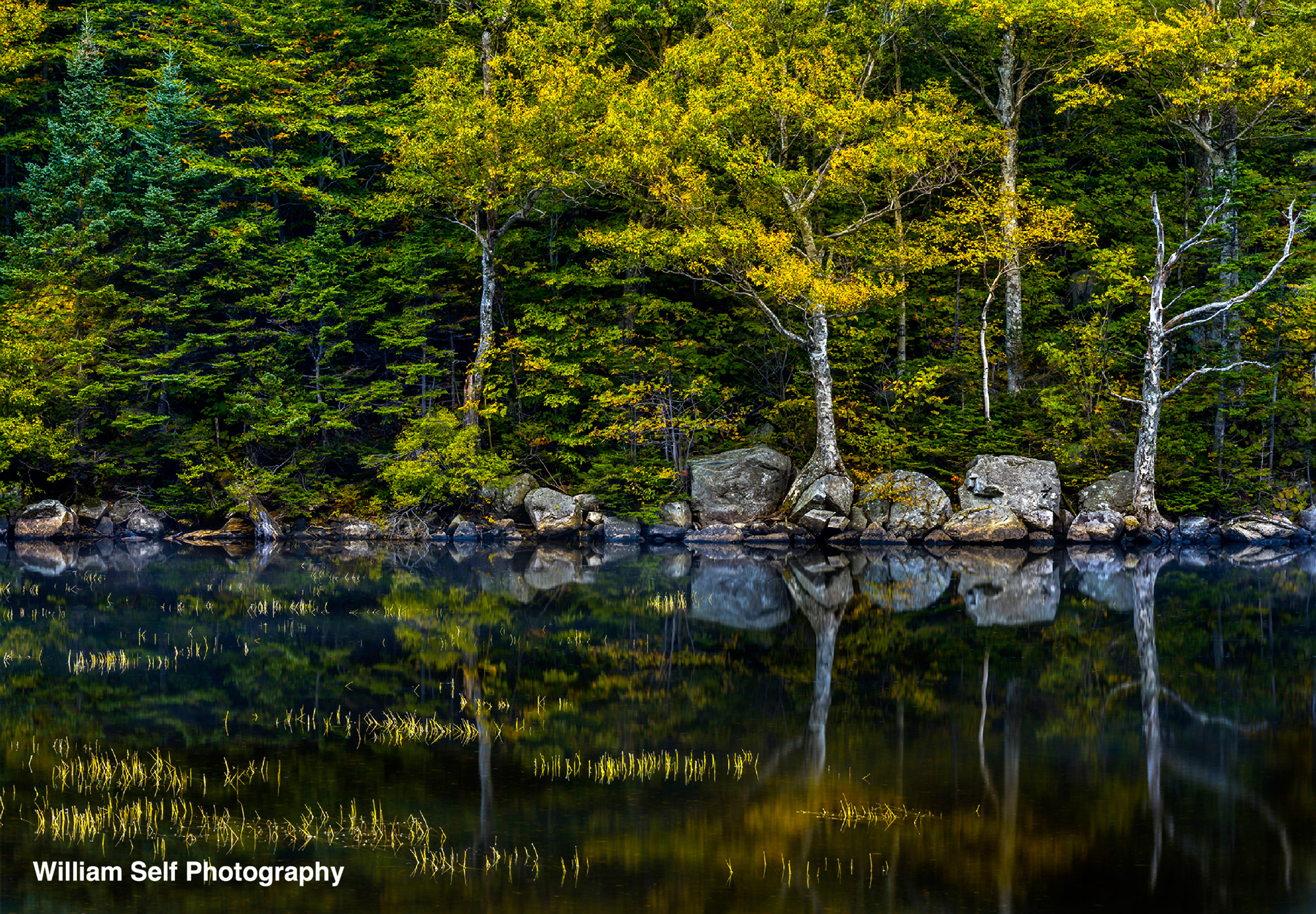 Autumn-Colors-in-a-Mirror-NH.jpg