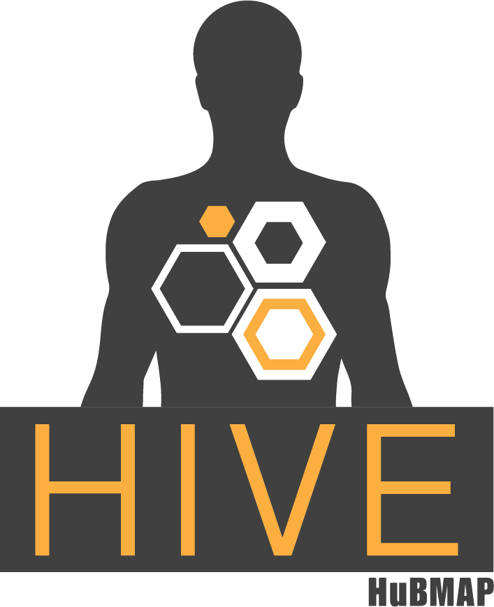 hive logo color.png