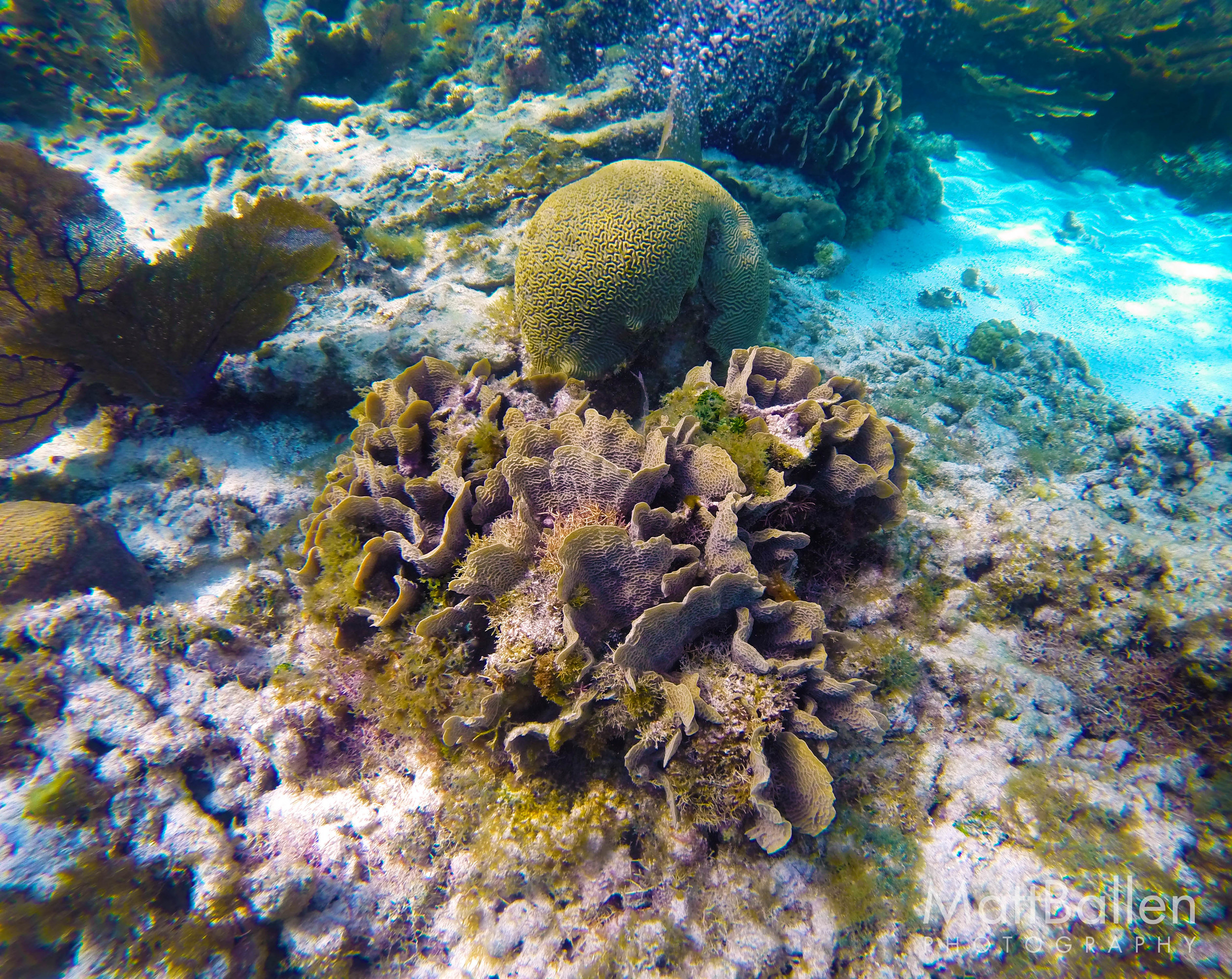 Hol Chan Marine Reserve, Belize