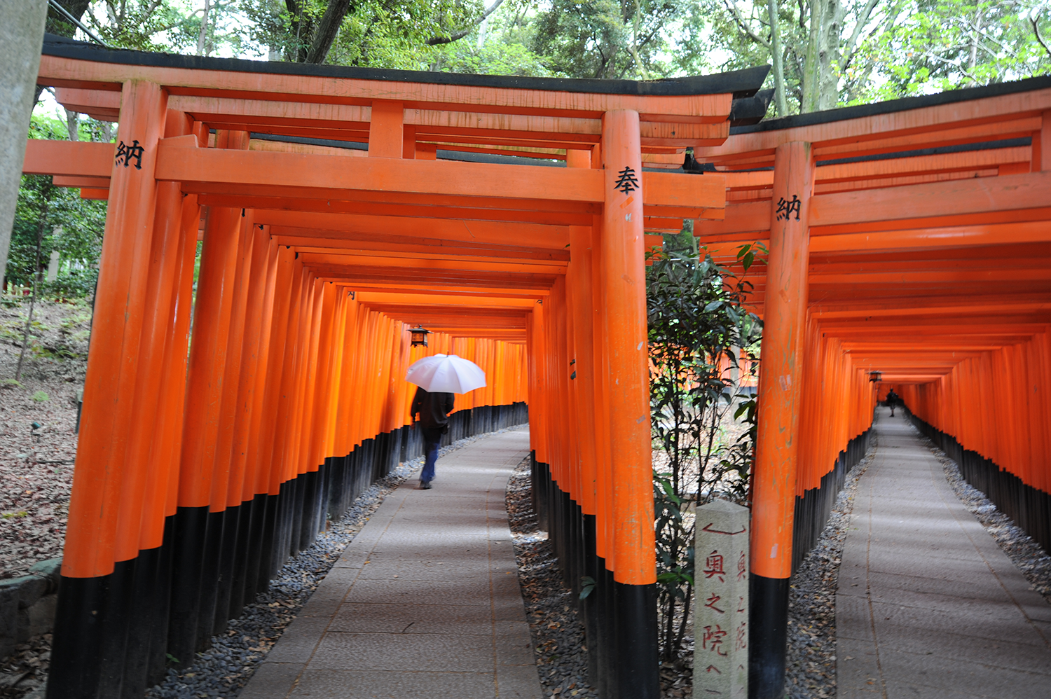  kyoto, japan