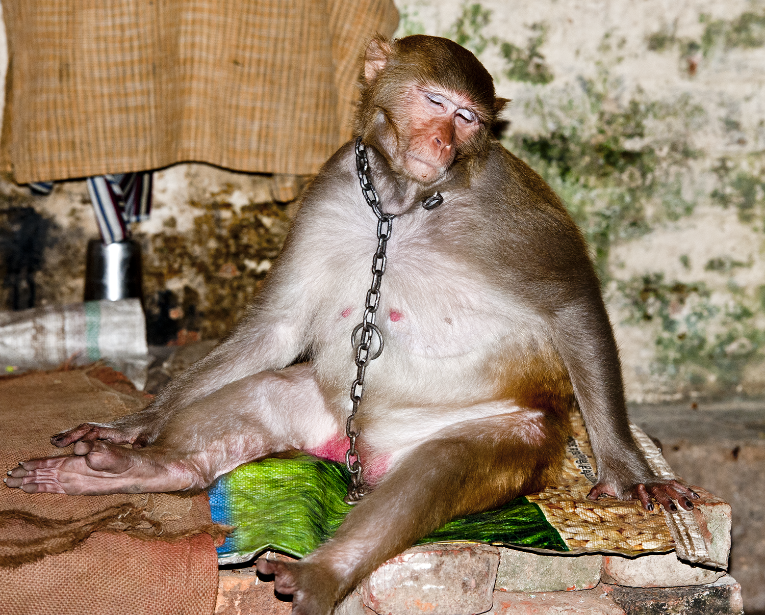 DSC_4686.png
