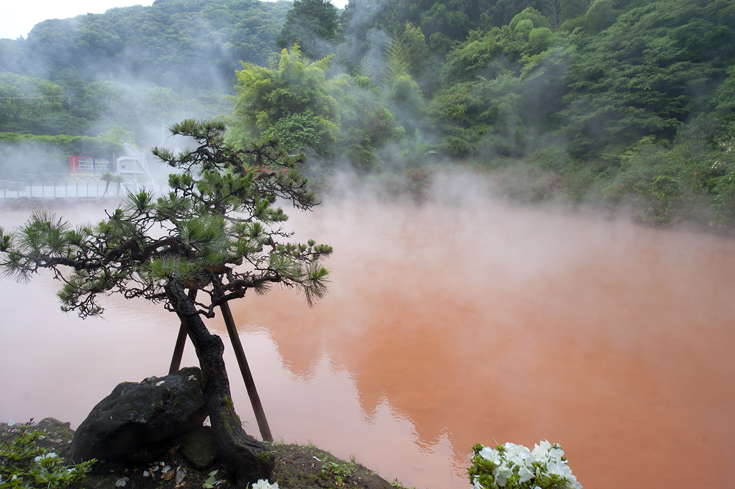 blood pond