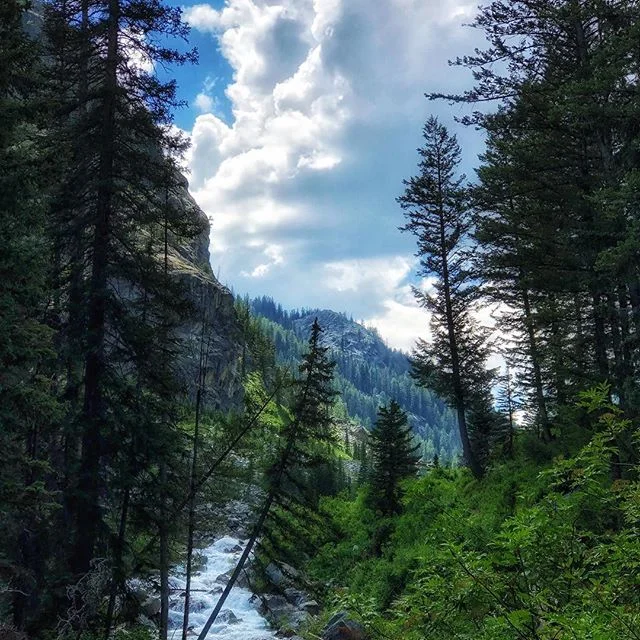 #picturesque 1