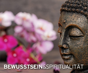 2013_Banner_Bewusstsein_qu.jpg