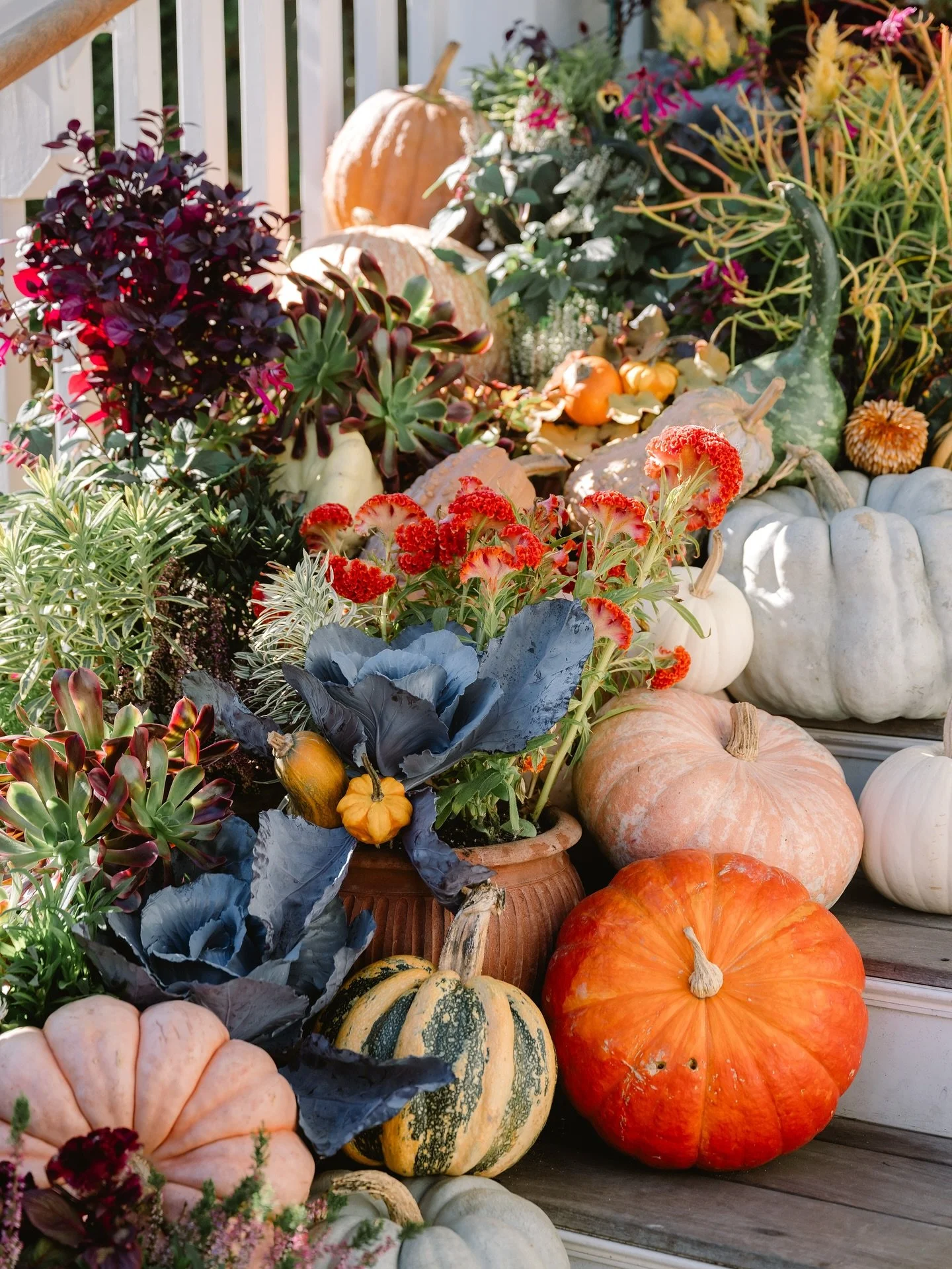 Can you even believe how gorgeous this front porch is at @thenantucket right now? 
When Laura and I started working together last fall, she mentioned how the hotel steps were always decorated so beautifully in autumn and wanted to be sure to include