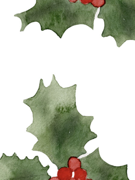 Screenshot 2024-12-02 at 3.47.51 PM.png