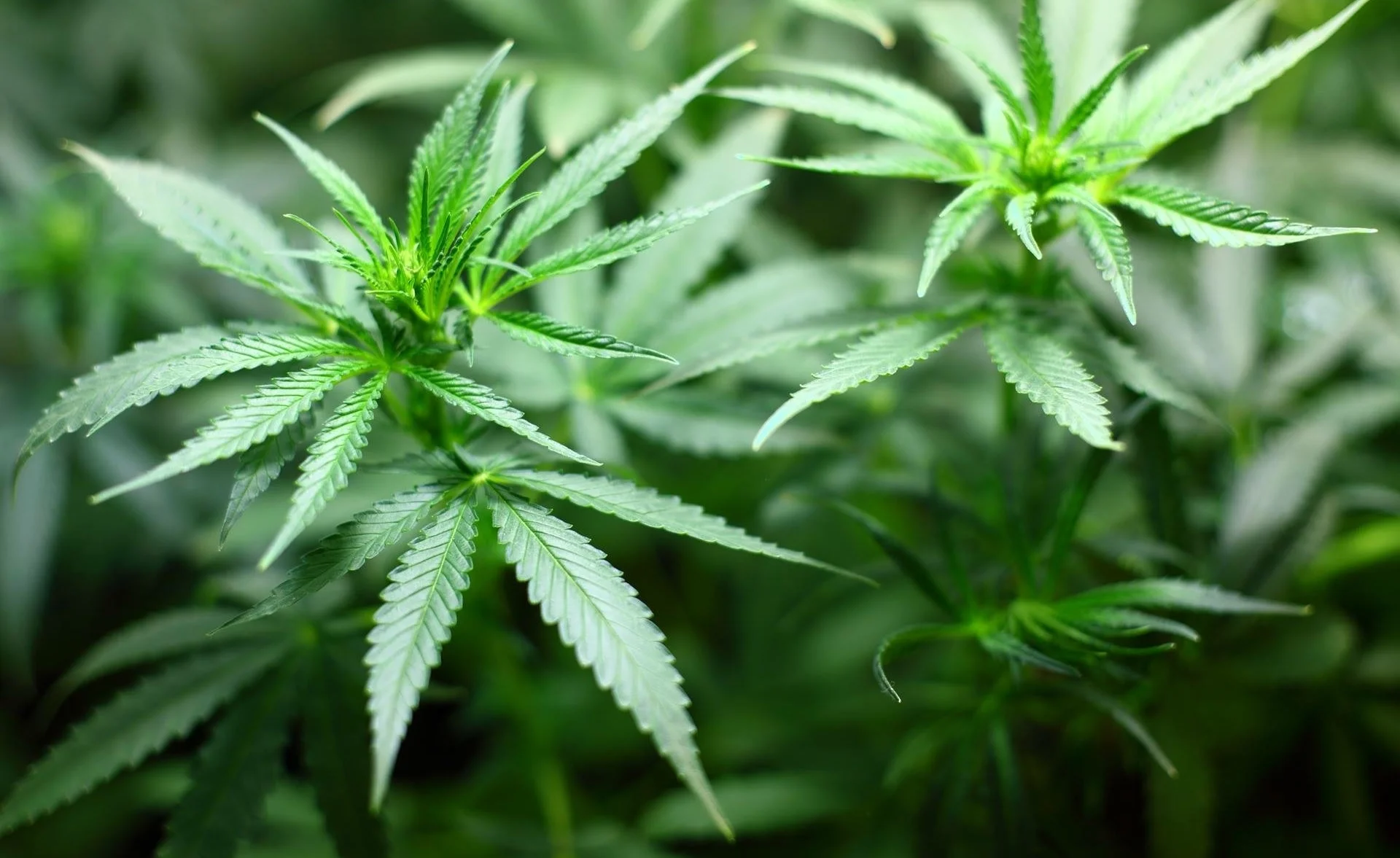 File 2016-04-06, 11 53 34 PM.jpeg