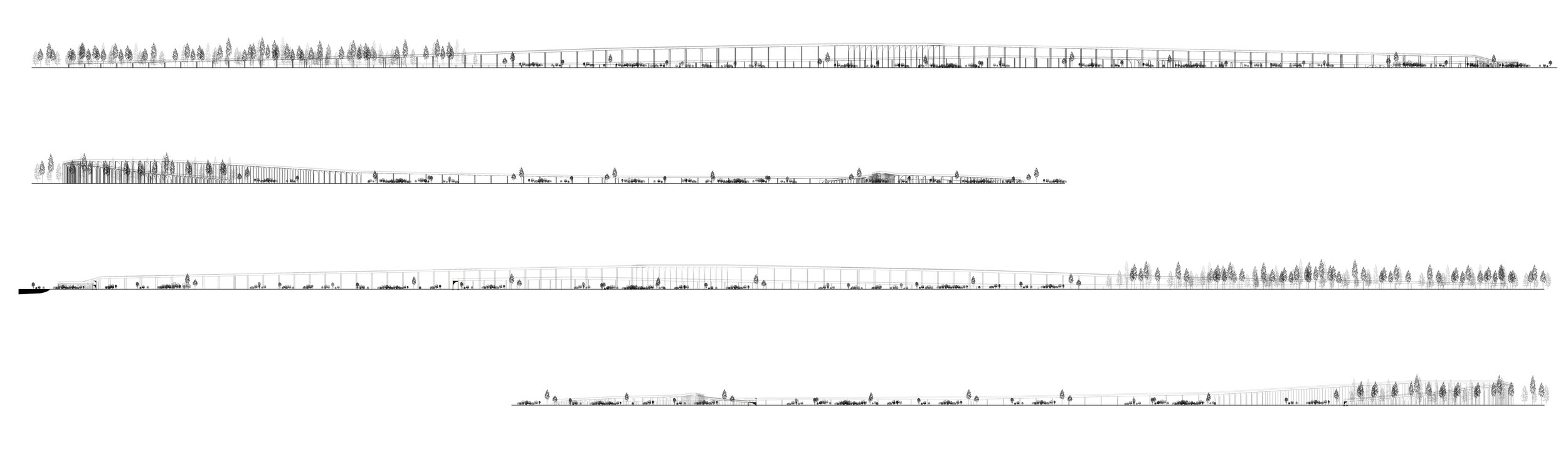 Kemeri_Section&Elevation.jpg