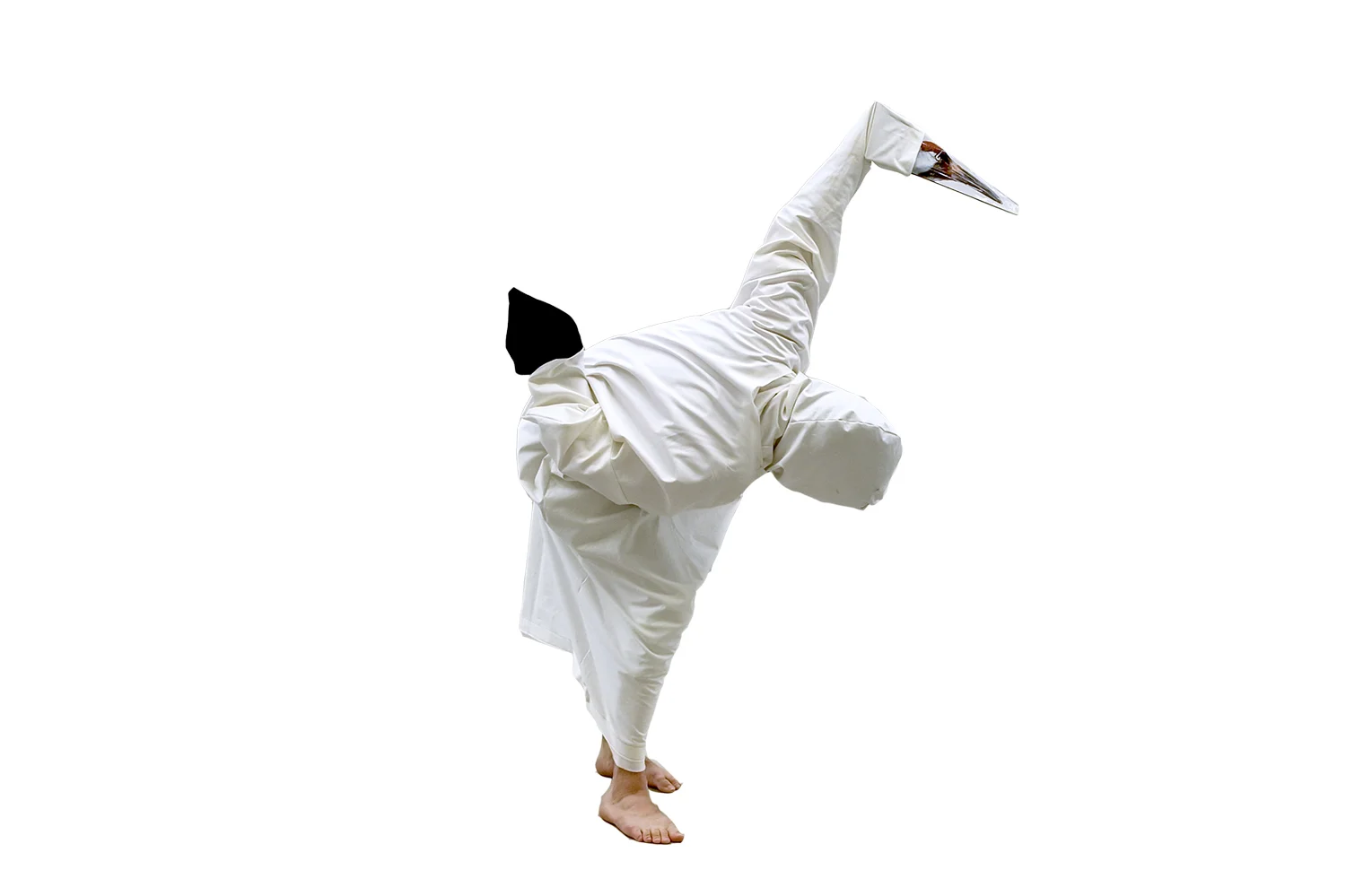 Bird_Suit_Hero.jpg