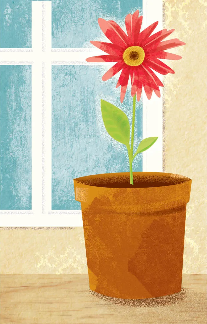 GerberDaisy.jpg