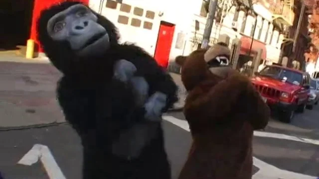 WTF! - The Raddest Site for Costumed Animals Ever!