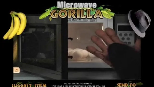 Microwave Gorilla - interactive video site