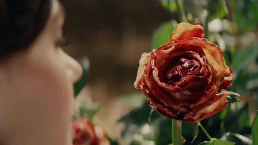 Wake Up and Smell the Bacon! TVC :30