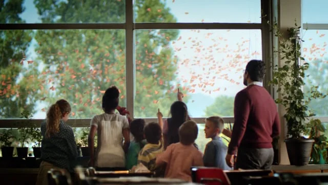 VOYA Mandarin TV 2017