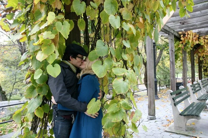 leaves.jpg