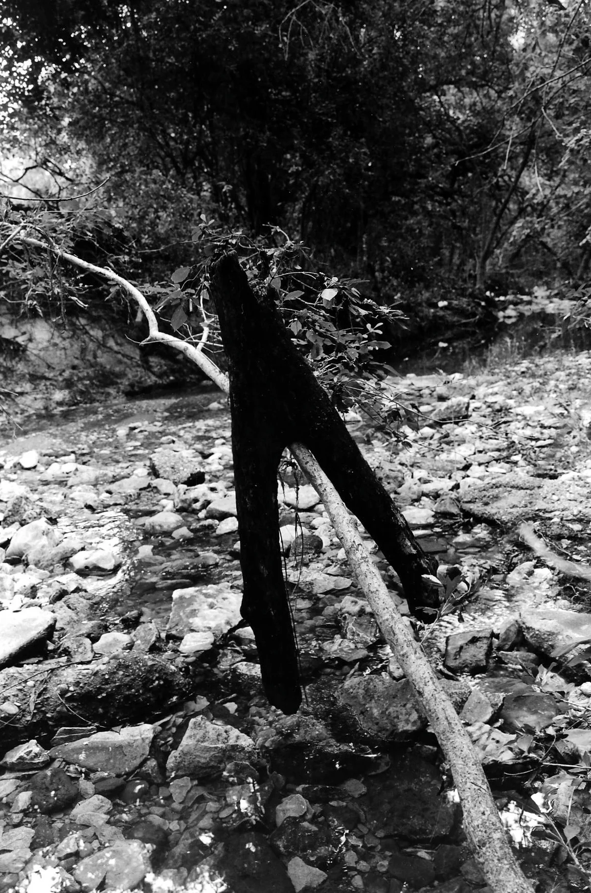 Silver gelatin print, 8.5" x 11". 2014