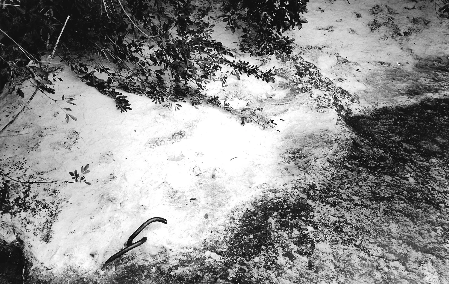 Silver gelatin print, 8.5" x 11". 2014