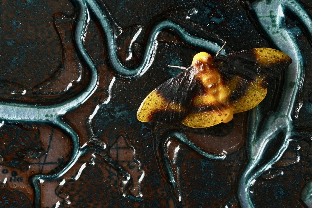 Detail of Upper Delta Mosaic; Imperial moth