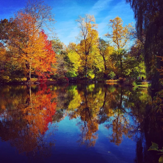 Vulnerability Hangover: Party of One