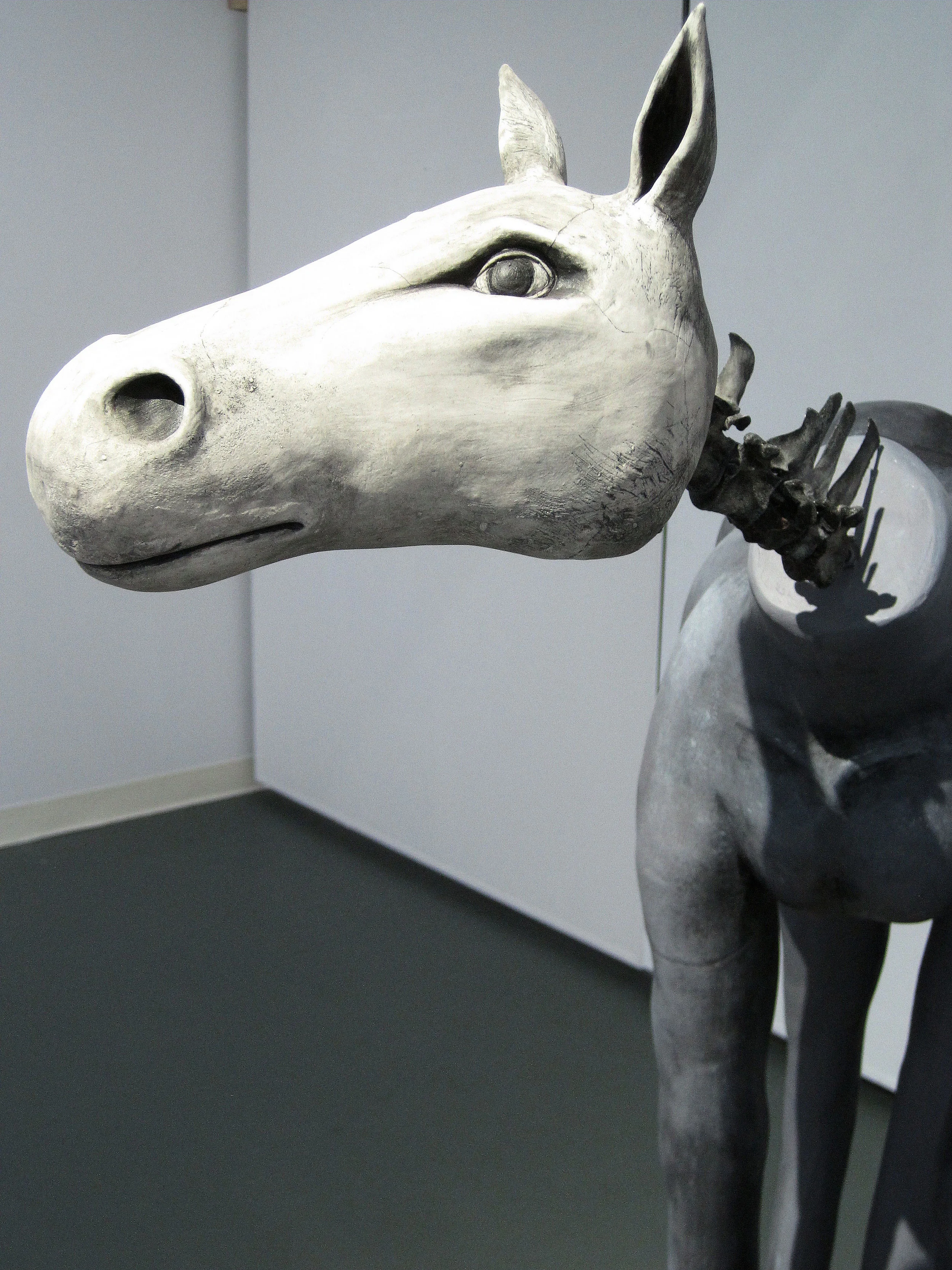 11.TLTW.Horse Head Left View.JPG