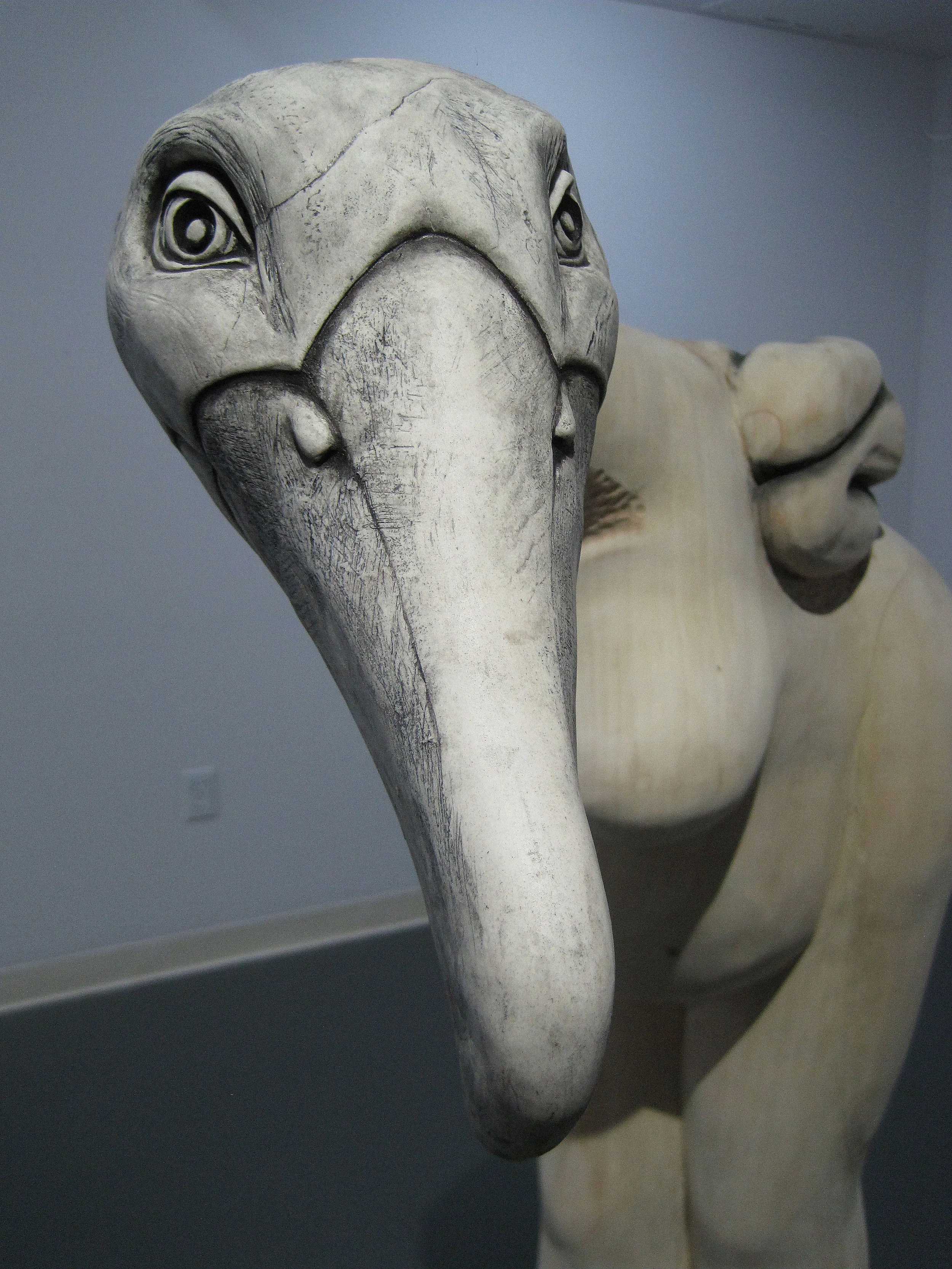 14.TLTW.Bird Head Front View.JPG